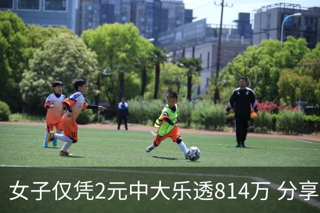 女子仅凭2元中大乐透814万 分享中奖秘诀-图