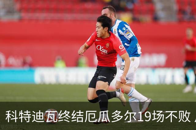 科特迪瓦终结厄瓜多尔19场不败 用韧性拿到世界杯开门红