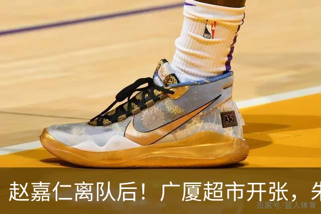 赵嘉仁离队后！广厦超市开张，朱俊龙布朗被疯抢，广东要胡金秋？